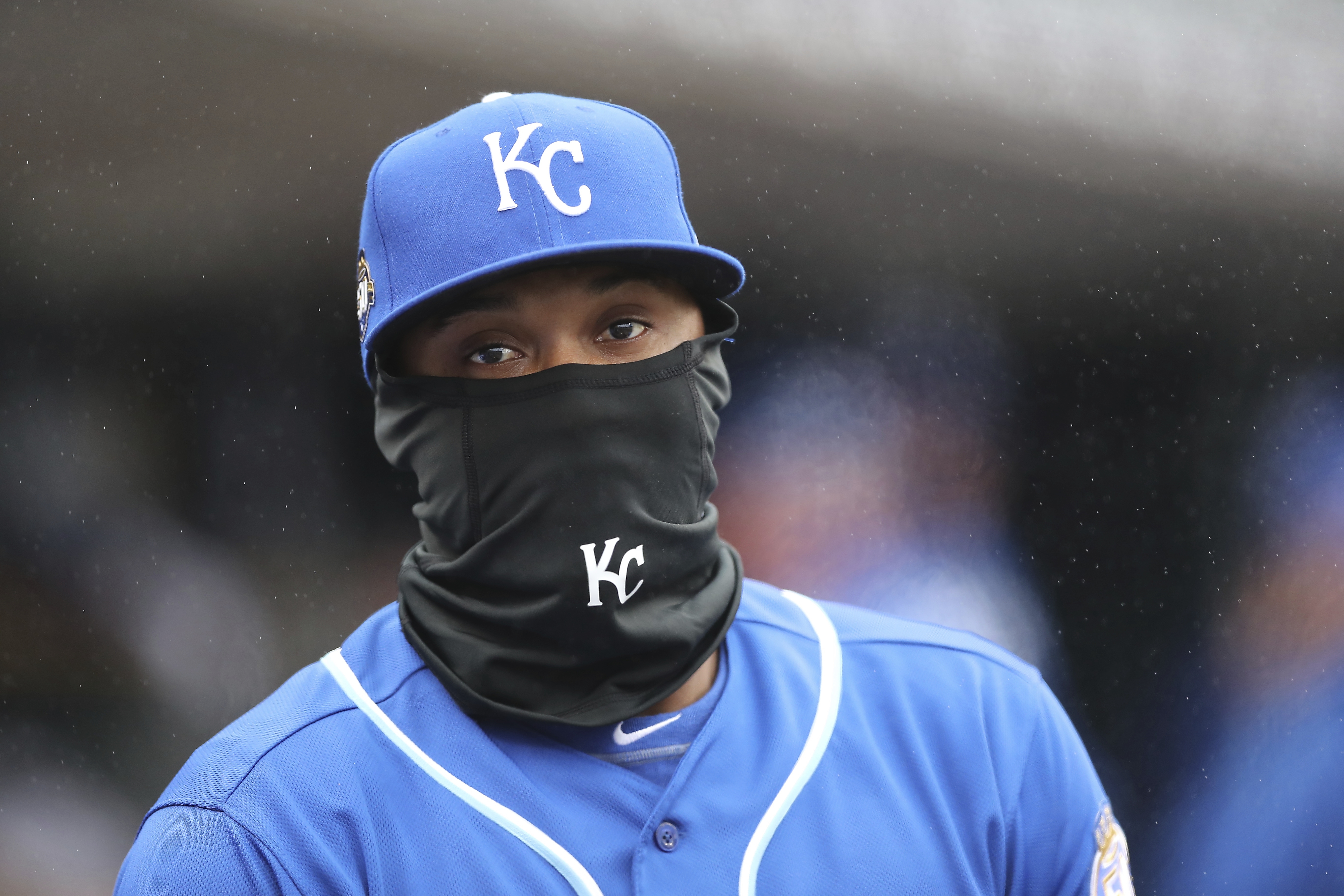 Royals rejoice as game against Tigers postponed due to cold