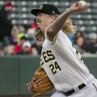 Bees use timely hitting to knock off Albuquerque in season opener