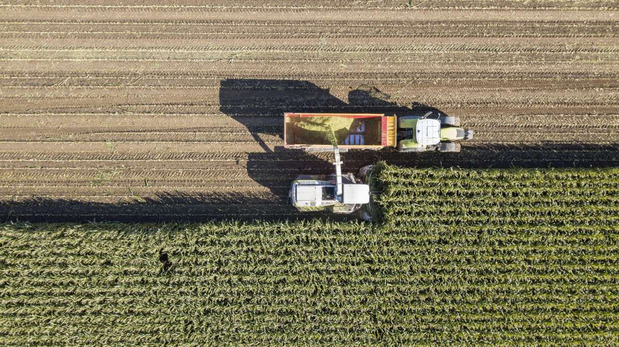 Syngenta plans $30M expansion to Nampa facility