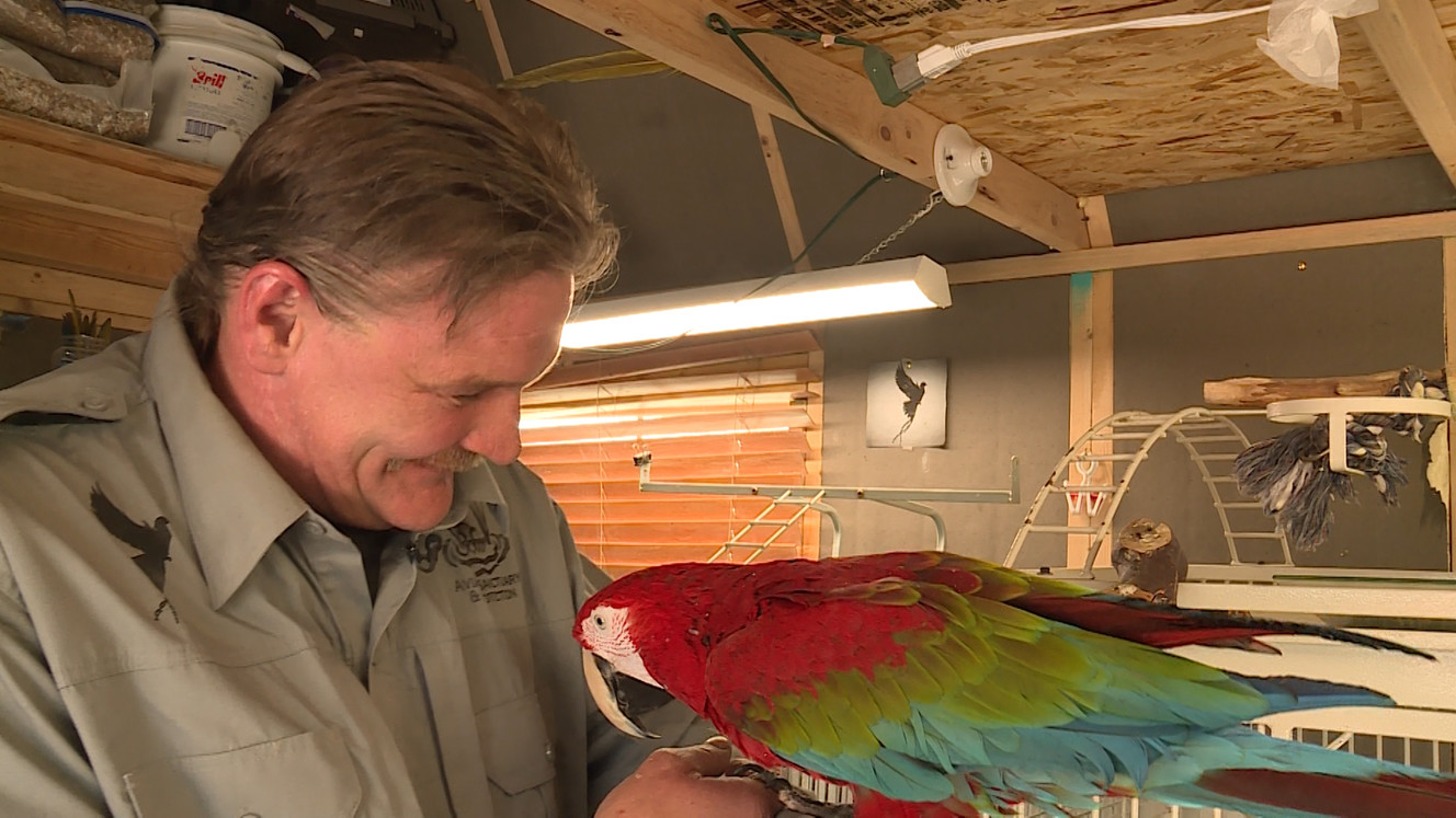 Richard Nowak smiles while holding a parrot at Avian Sanctuary and Protection in West Valley City on April 3, 2018. The Division of Wildlife Resources recently seized more than 80 birds from the sanctuary in West Valley City, citing concerns over avian influenza, and arrested Nowak. The sanctuary says it has operated for years without problems.