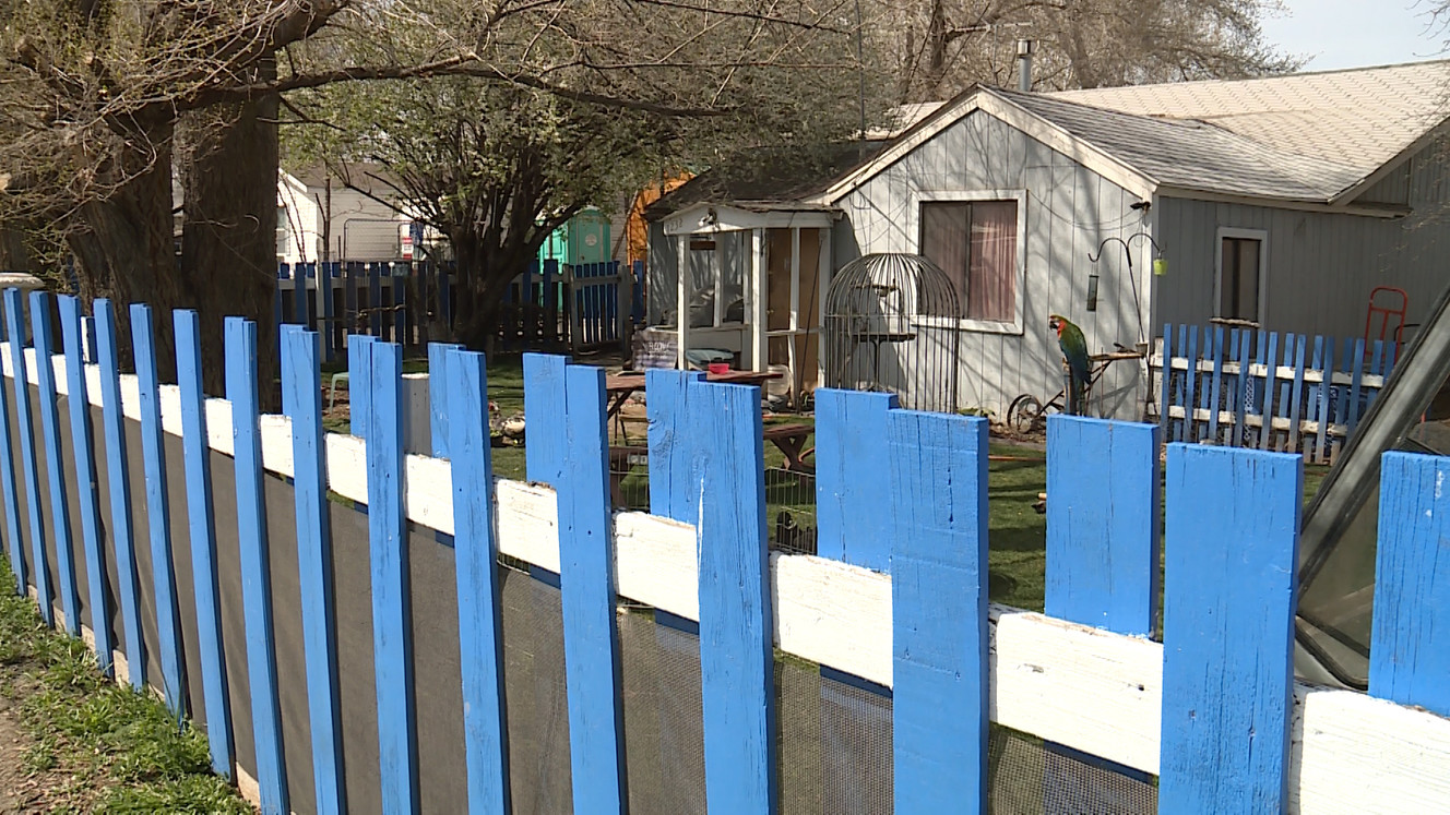 Avian Sanctuary and Protection Utah's facility consists of four buildings on a piece of property in West Valley City, on April 3, 2018.