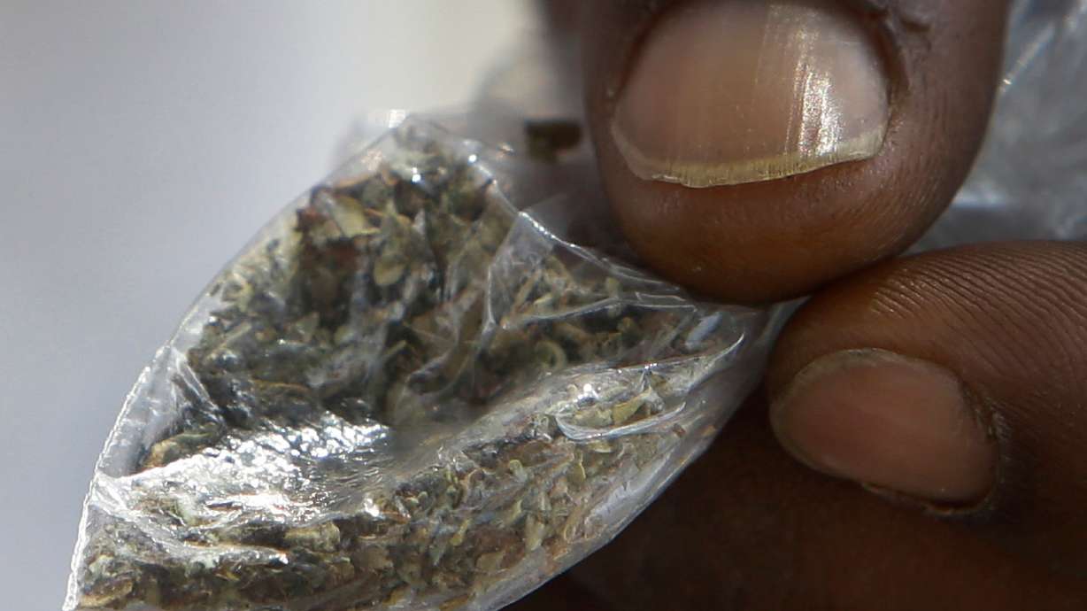 Fake pot likely tainted with rat poison kills 3, sickens 100