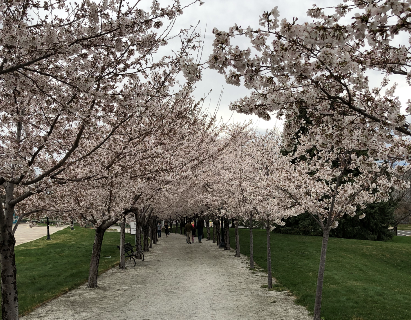 User submitted: Spring is finally here and we’ve got photos to prove it