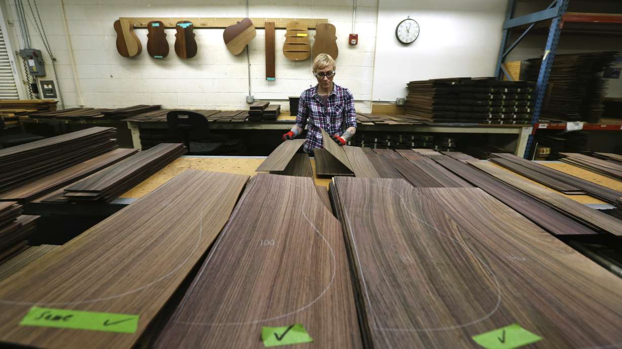 Guitar makers hit hard by new regulations on prized rosewood