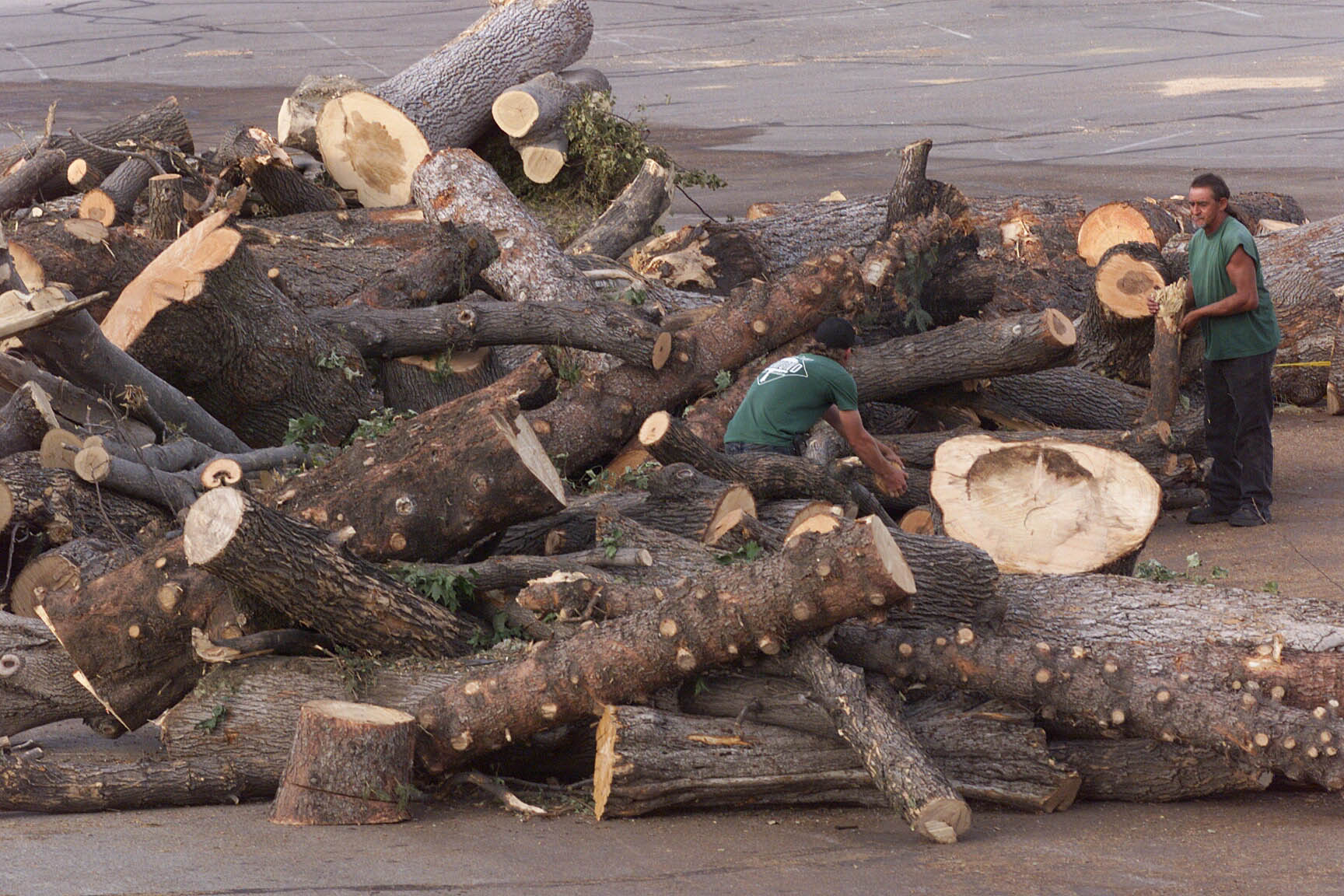 Chris Chavez, right, and Duwayne Warner, Diamond Tree Experts, look through fallen Capitol lawn trees after a tornado struck on Aug. 14, 1999 (Photo: Jeffrey D. Allred, Deseret News Archives)