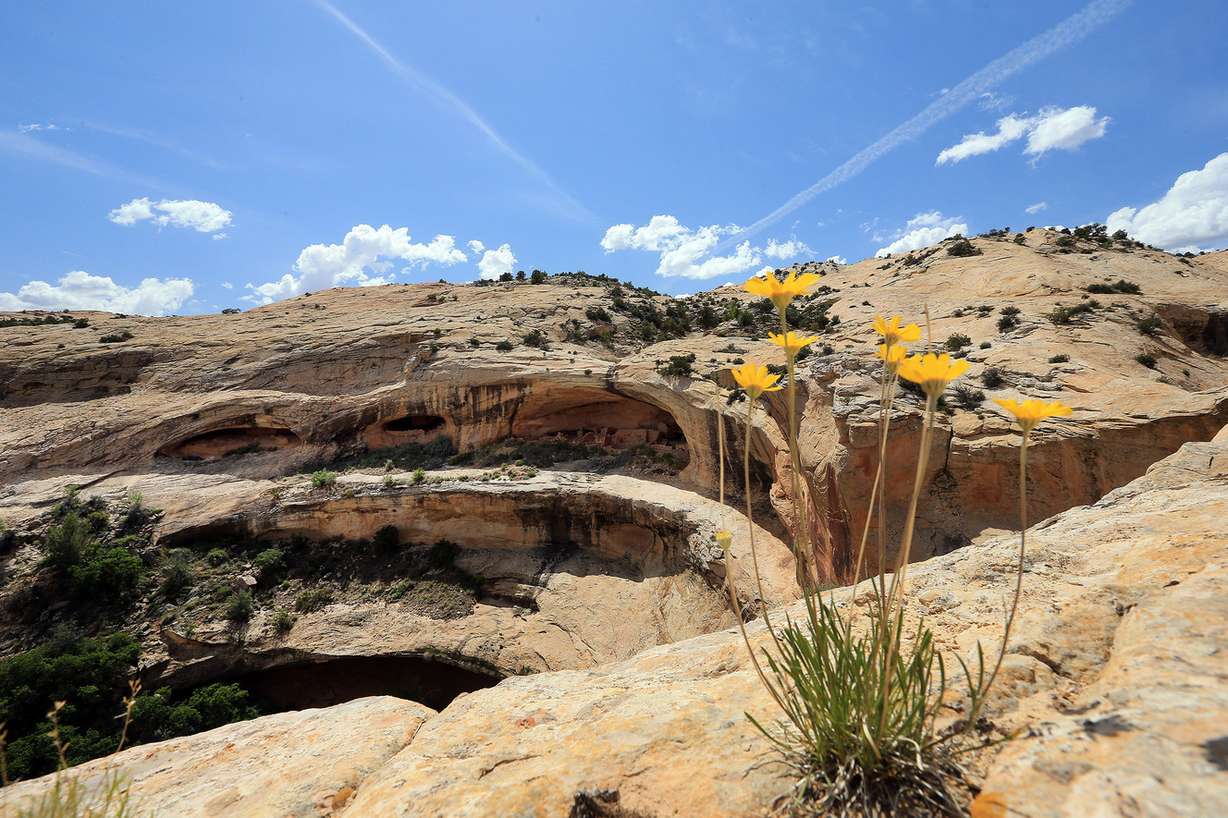 Ancient ruins in the Butler Wash area in San Juan County are pictured on Monday, May 8, 2017. Photo: Scott G Winterton, KSL