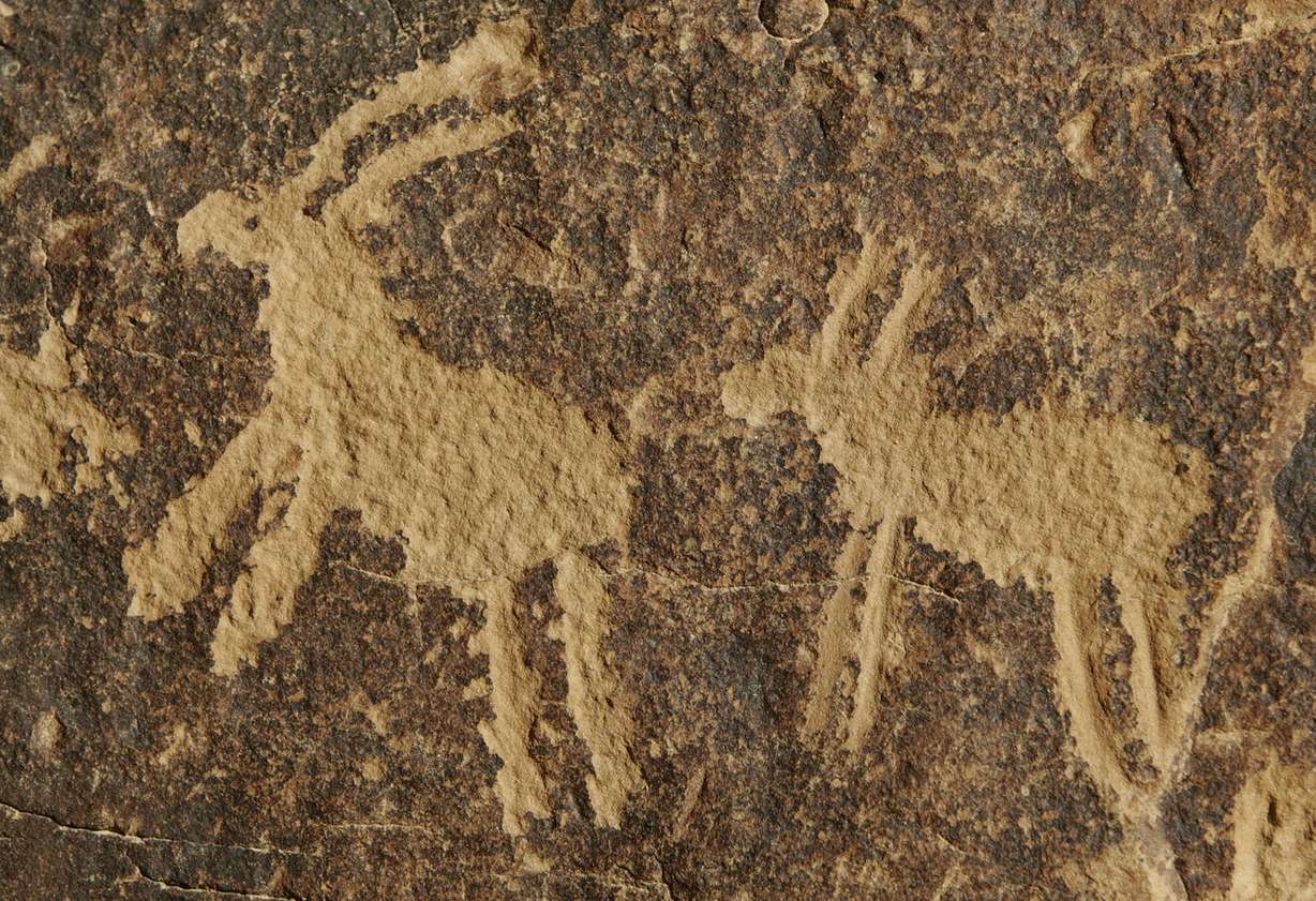 The Owl panel petroglyph site in Nine Mile Canyon is pictured on Tuesday, Oct. 26, 2010. Photo: Jeffrey D. Allred, KSL