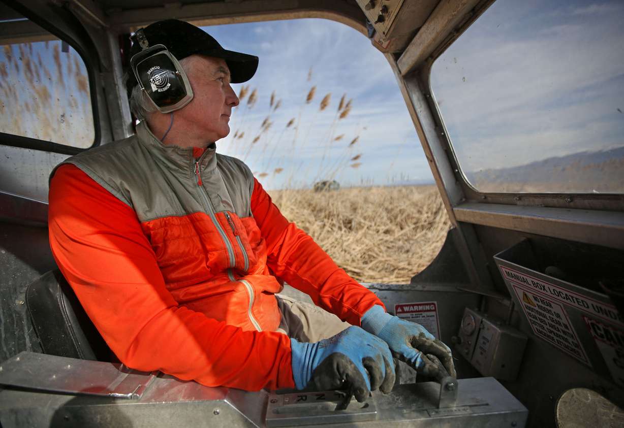 Kelly Ellis, with Ellis Erosion Control Systems, tramples phragmites with a Marsh Master in the Farmington Bay Waterfowl Management Area in Farmington on Wednesday, April 11, 2018. (Photo: Kristin Murphy, KSL)