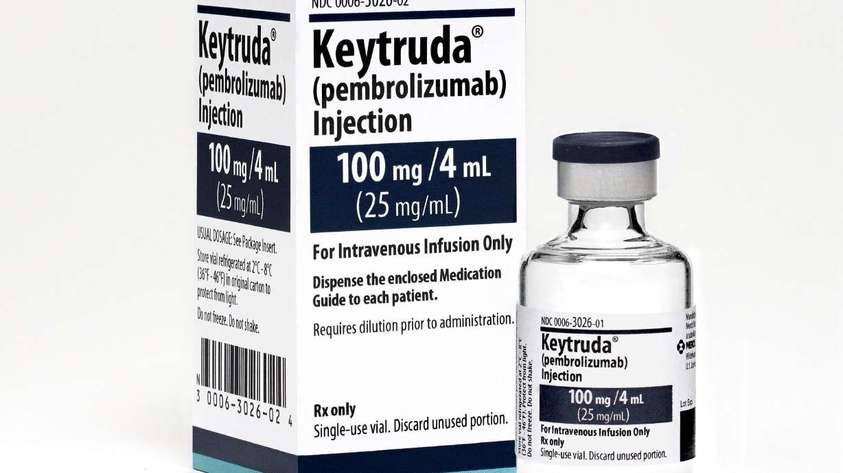 Immune therapy scores big win against lung cancer in study