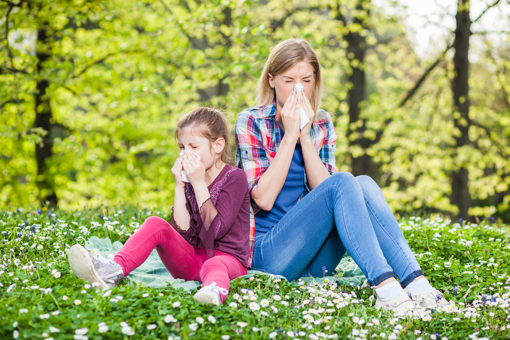 7 tips to make allergy season more bearable