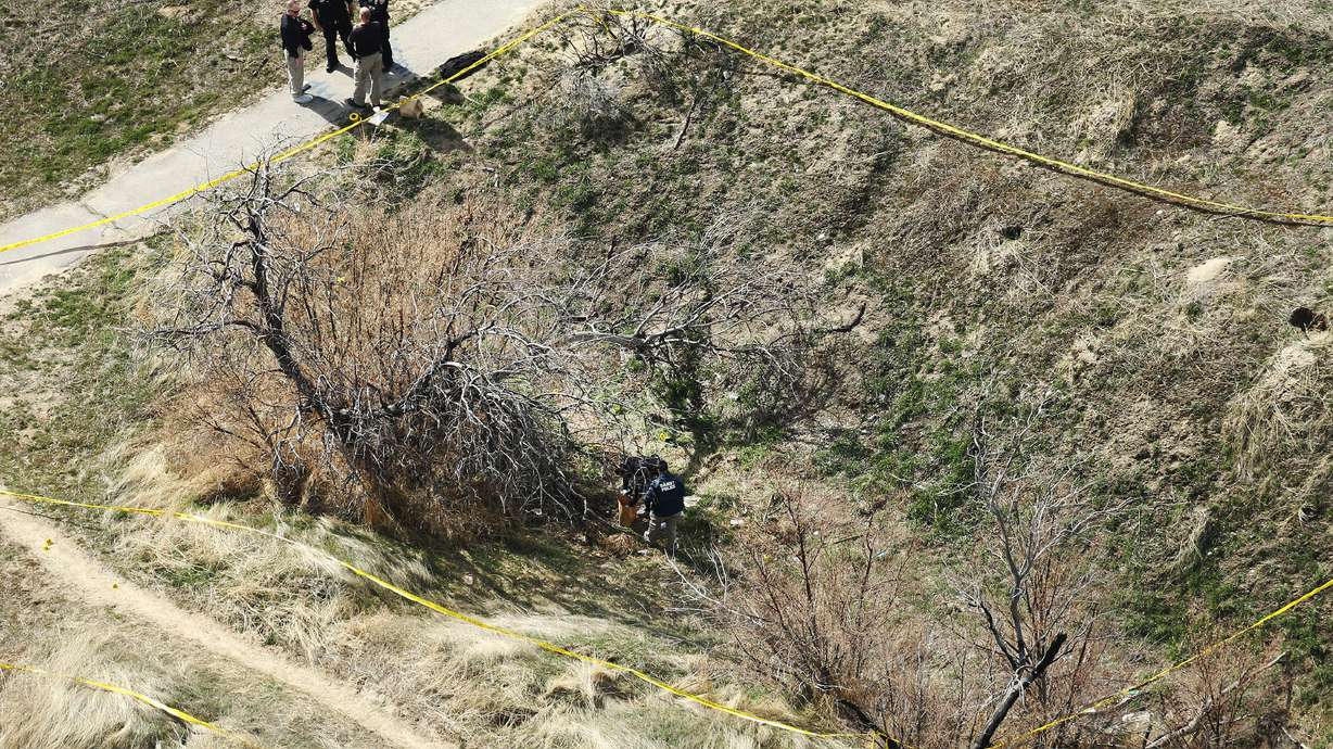 15-year-old faces 6 felonies in brutal attack of jogger in Sandy