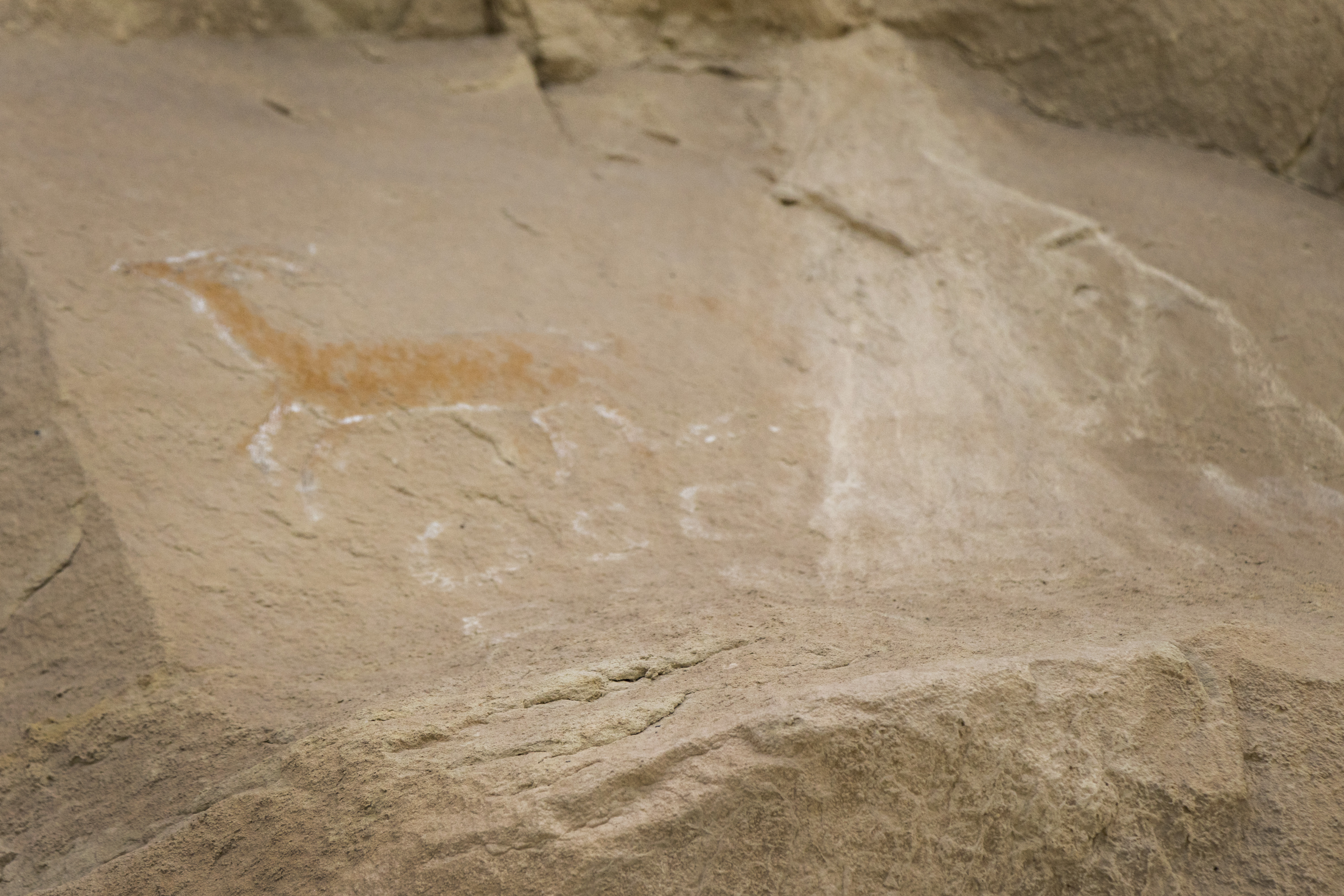 A deer pictographs likely painted on the Coalville Ledge sometime between 200 and 1300 A.D. (Photo: Carter Williams, KSL.com)