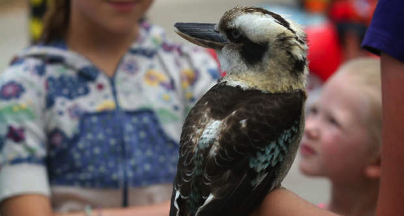 Hogle Zoo, Party for the Planet