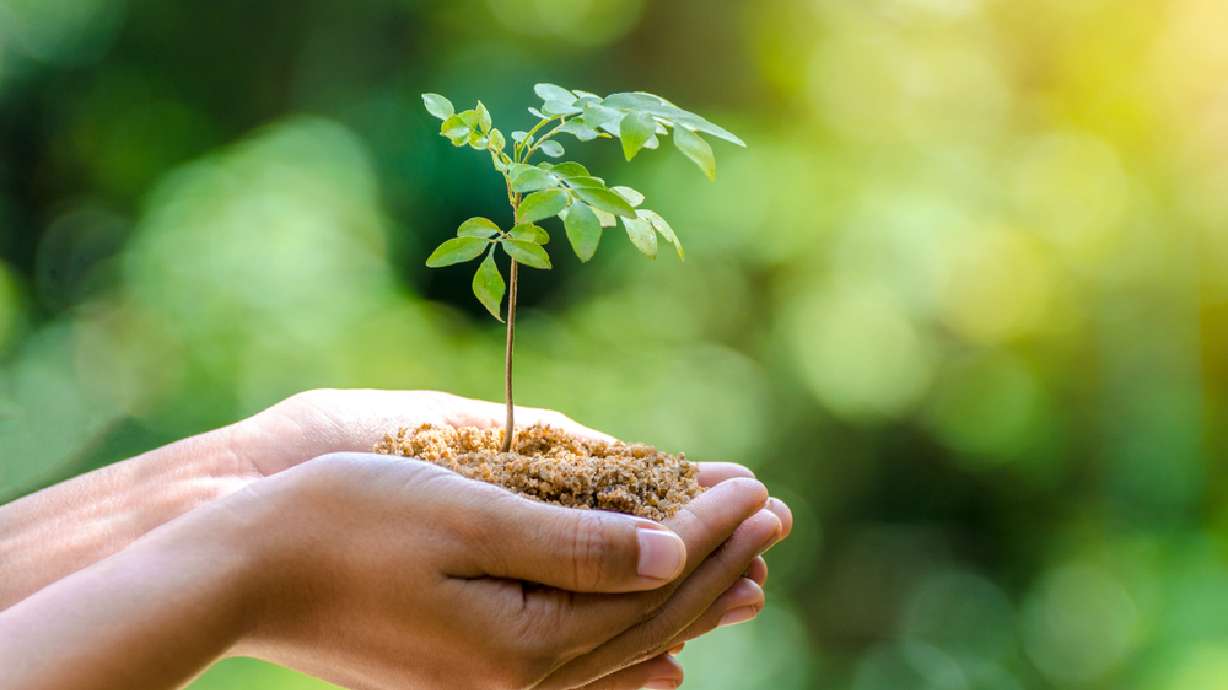 It's Earth Day, a time to celebrate and appreciate our great planet. Here's how you can in Utah