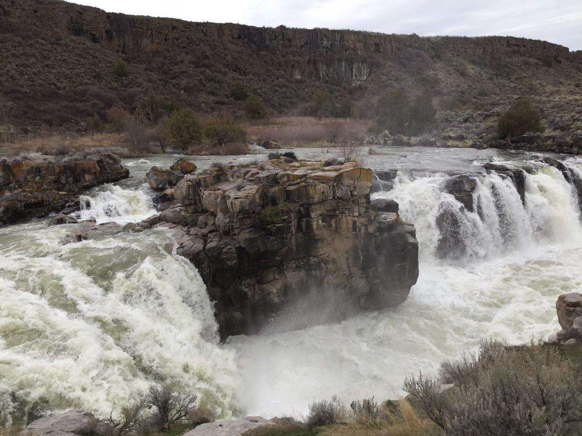 (Photo: Mychel Matthews, Times-News)