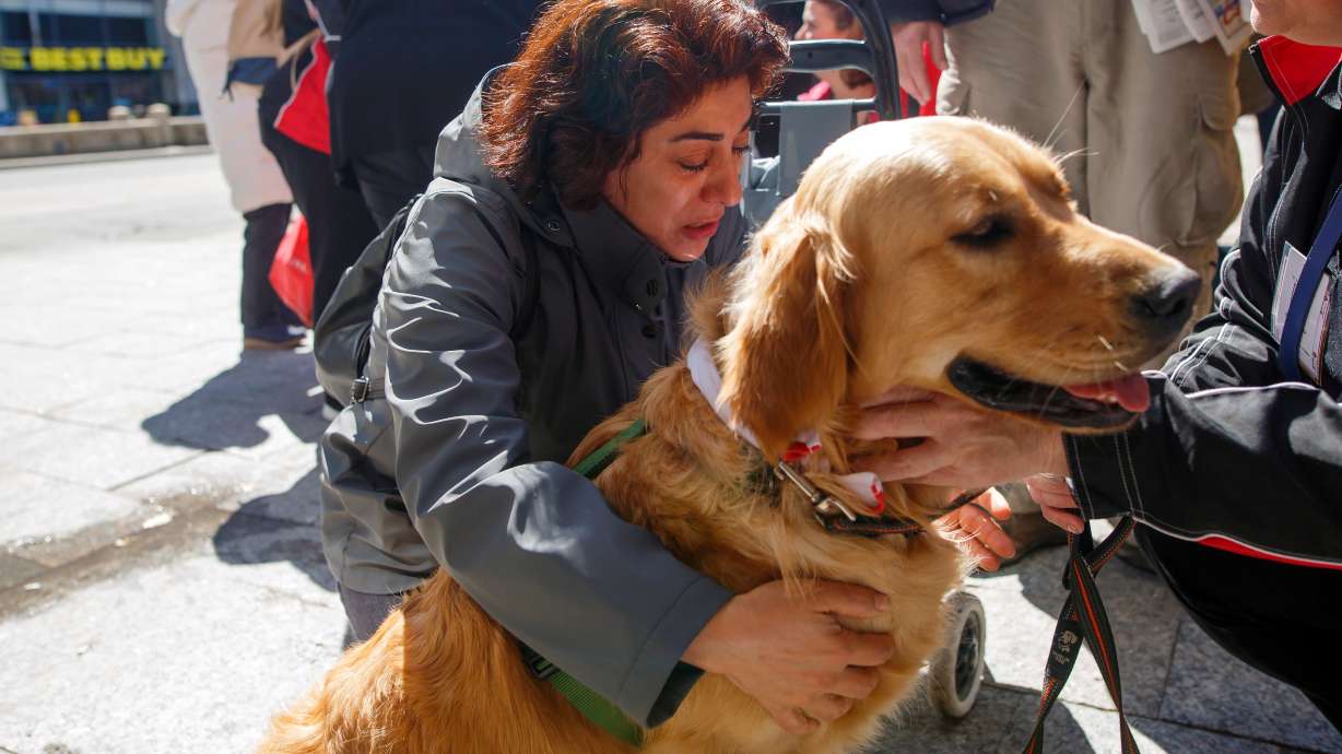 Toronto police raise number of injured in van attack to 16