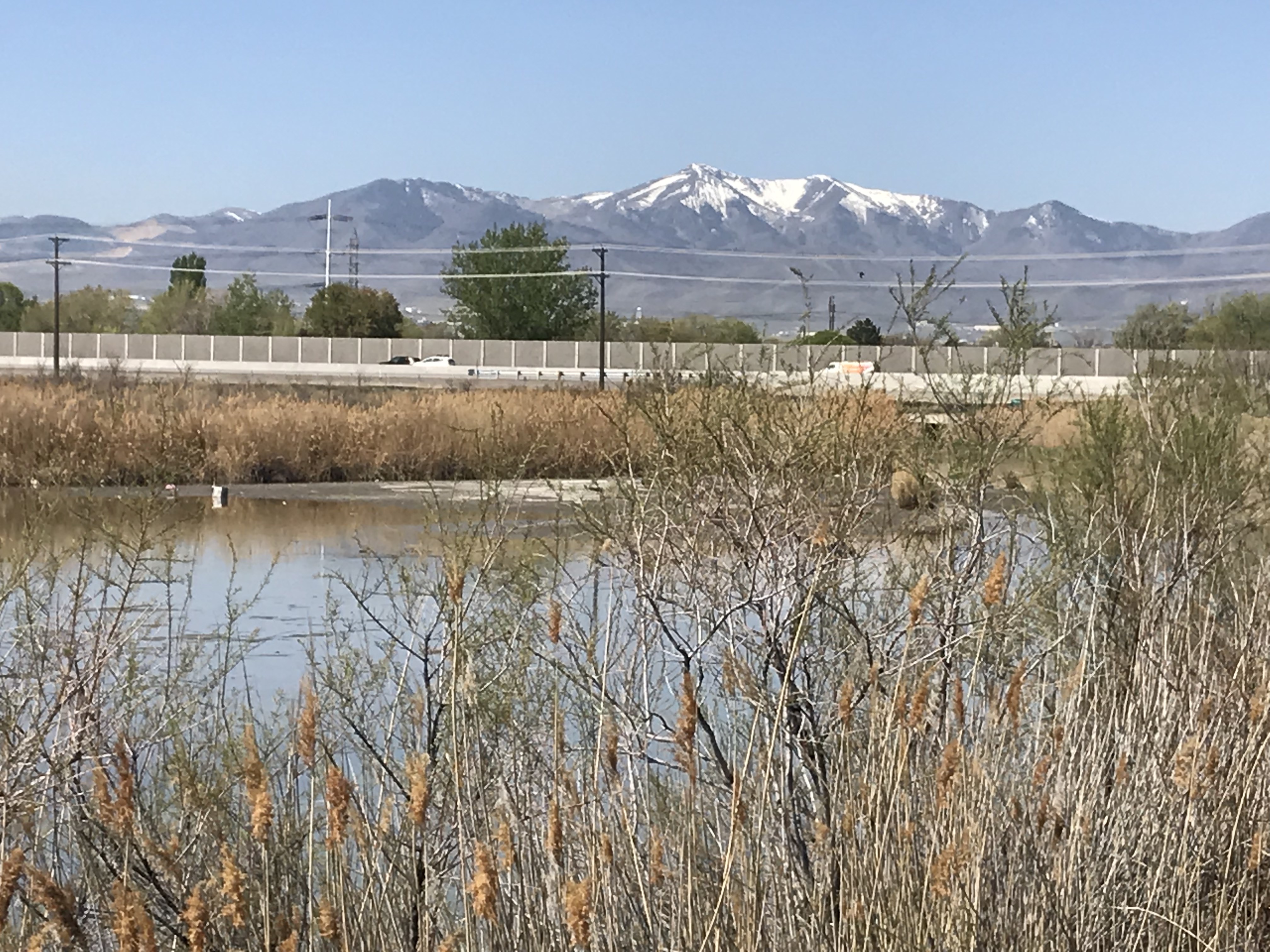 Group of kids playing soccer discover human remains in West Valley