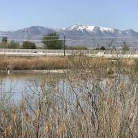Group of kids playing soccer discover human remains in West Valley