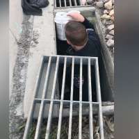 Make Your Week: Video shows Lehi officer rescue 11 ducklings from storm drain