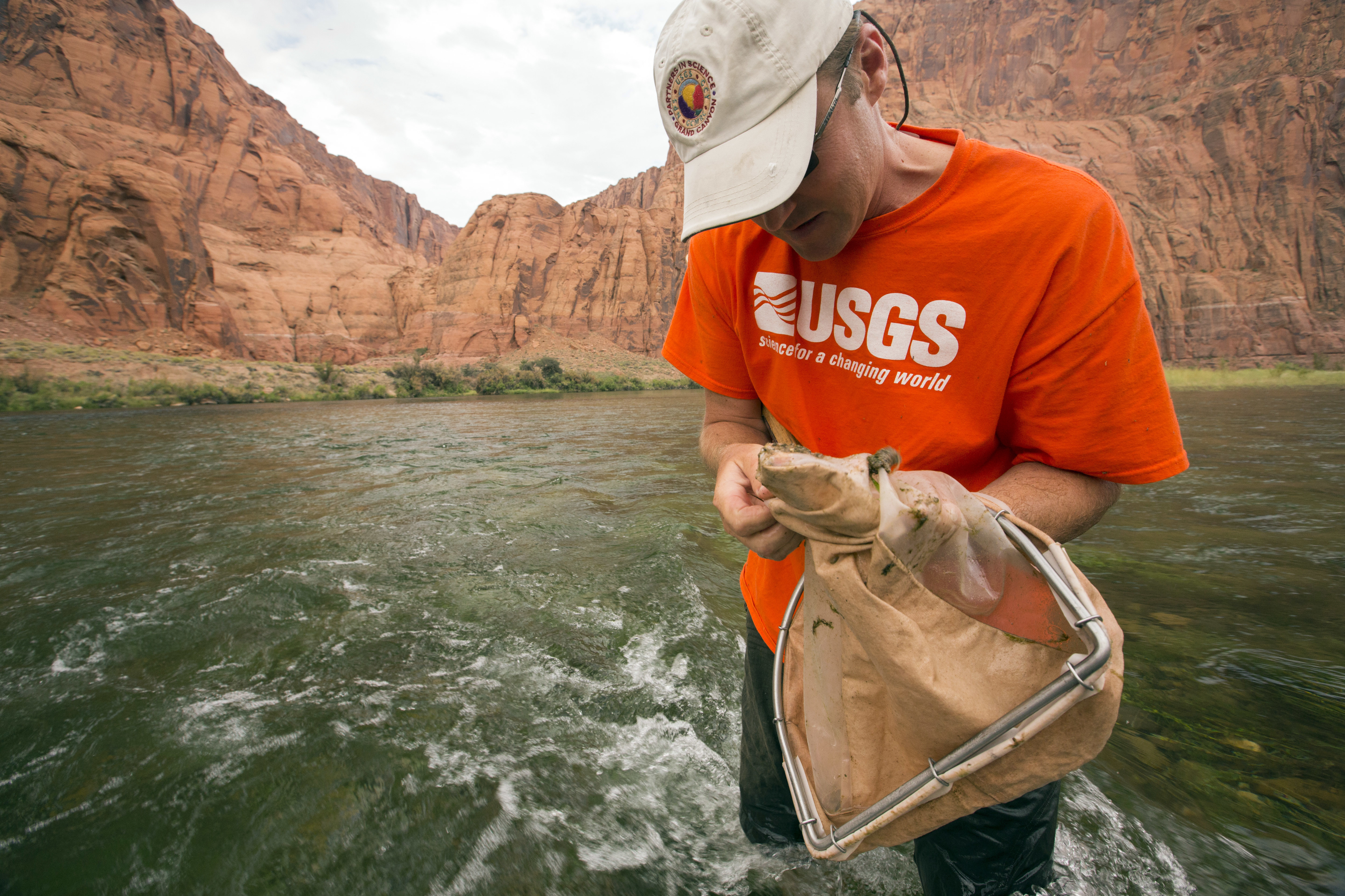 Scientists hope bug experiment fattens Colorado River fish