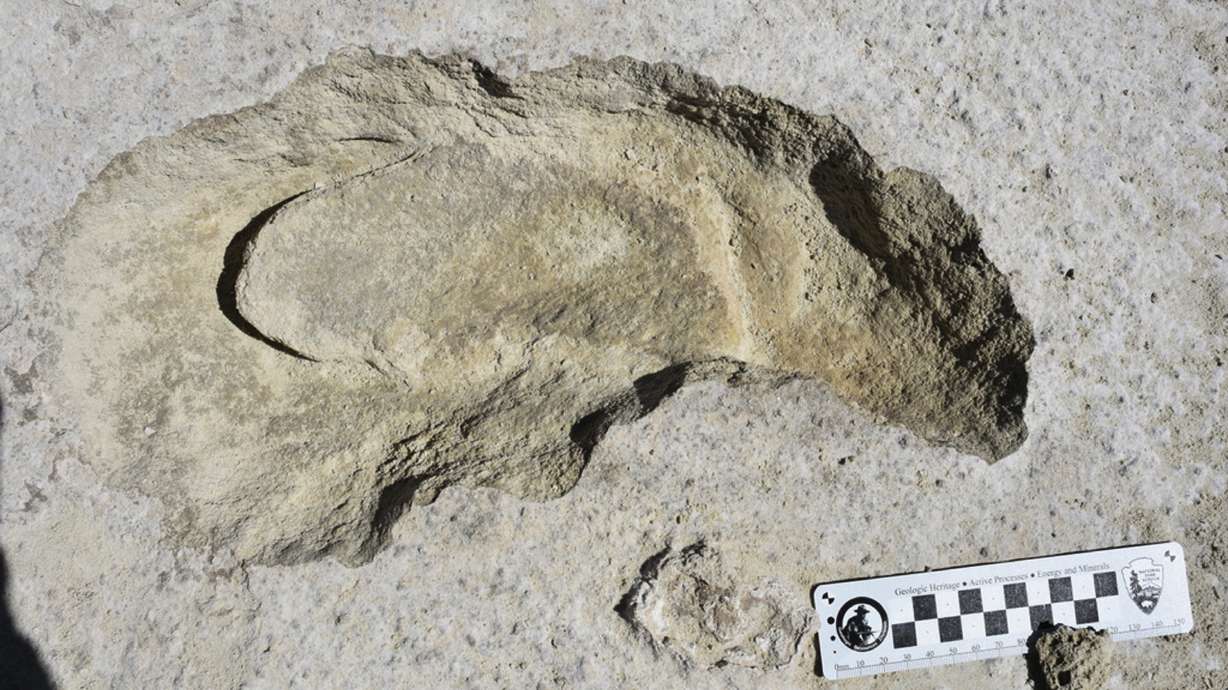 Scientists say fossilized footprints tell tale of sloth hunt