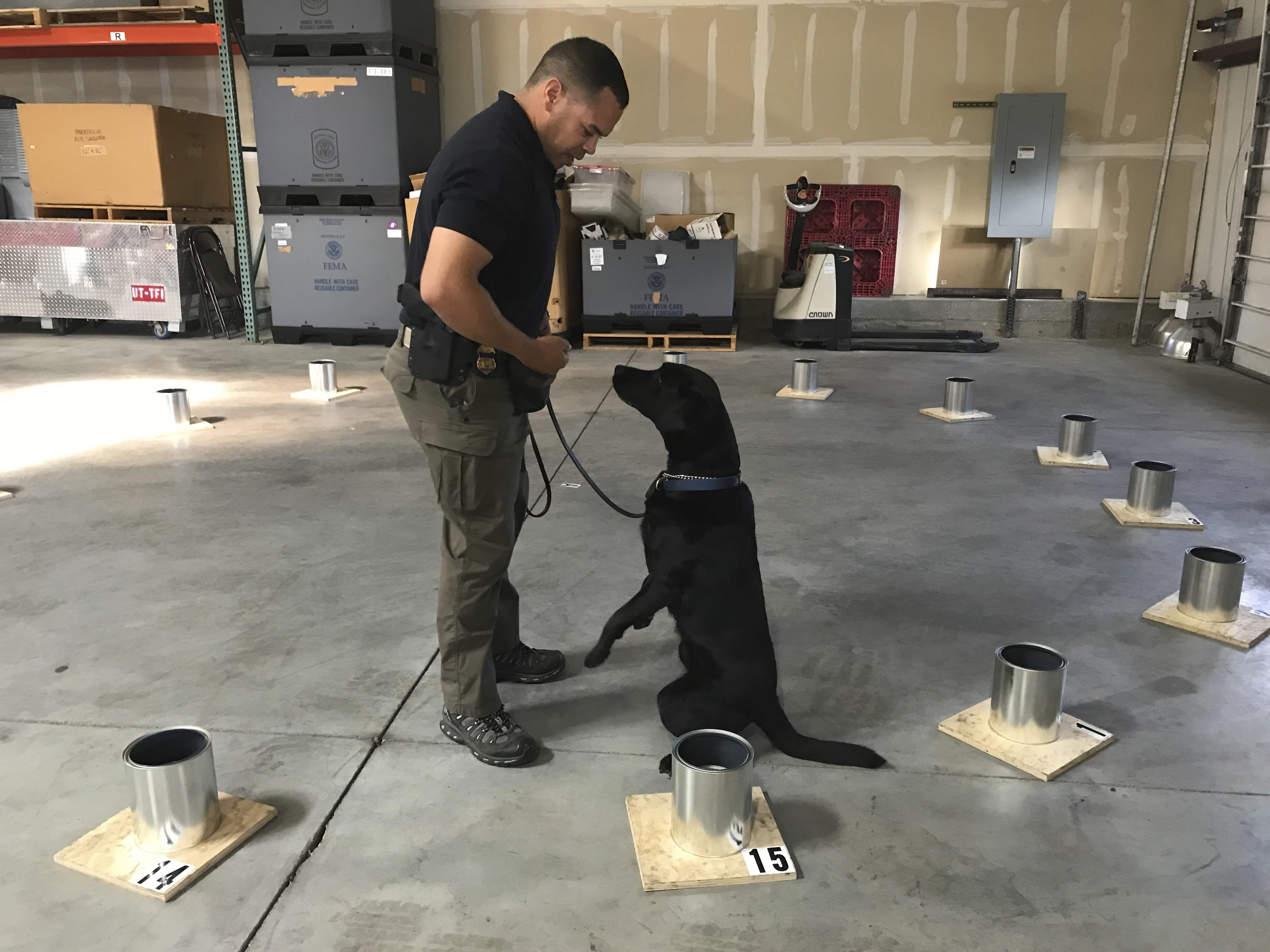 State, federal K-9 officers hone dogs' skills in Utah