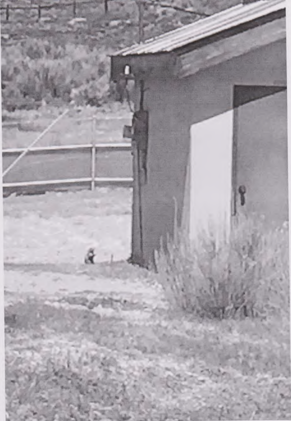 Photo: Garfield County