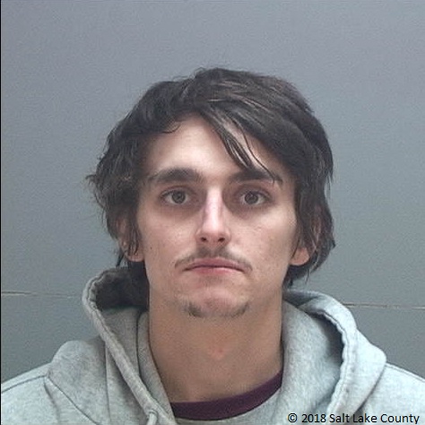 South Jordan man charged with killing puppy
