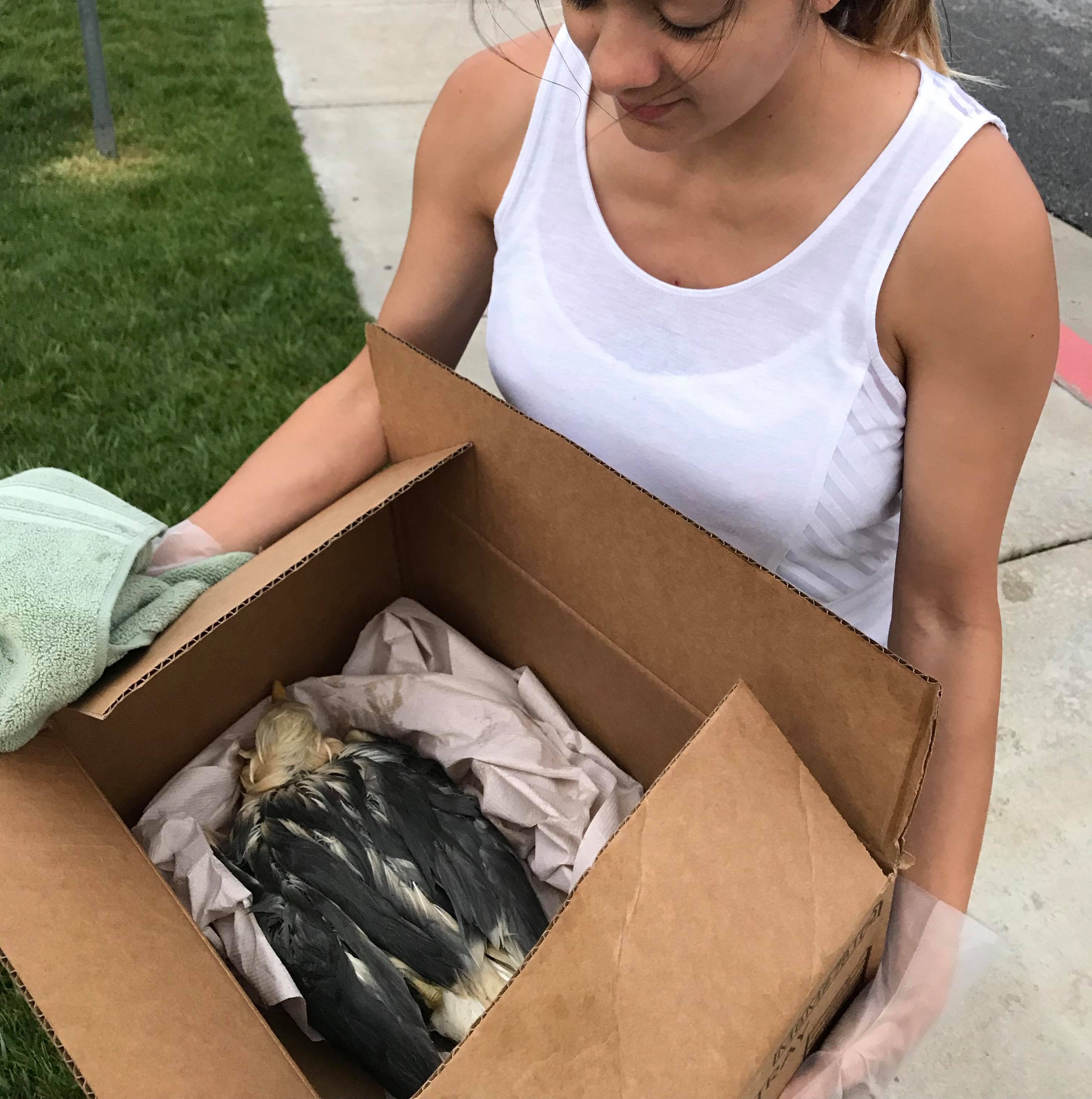 Make Your Week: Lost wallet gets returned, restaurant workers save seagull