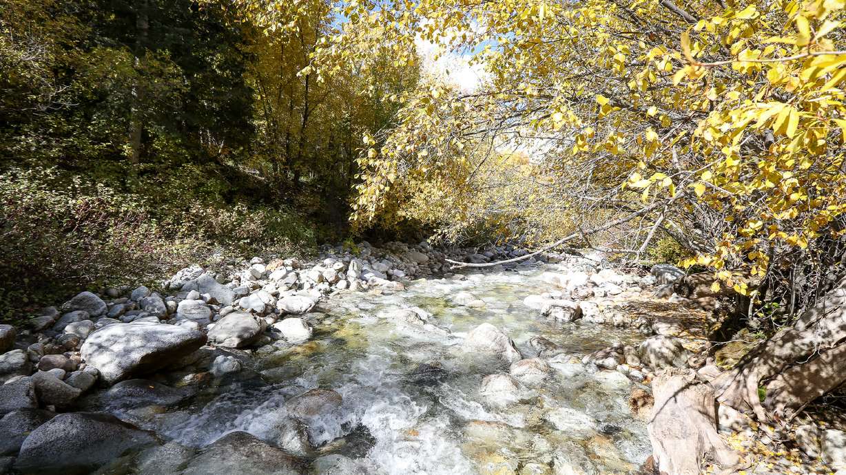 Utah may have a new constitutional amendment on cities’ supply of water