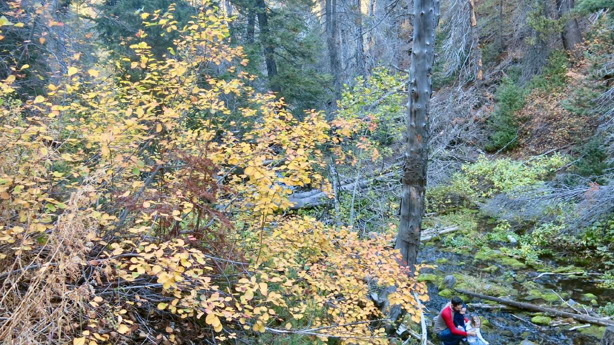 Review: 9 family outdoor products for summer