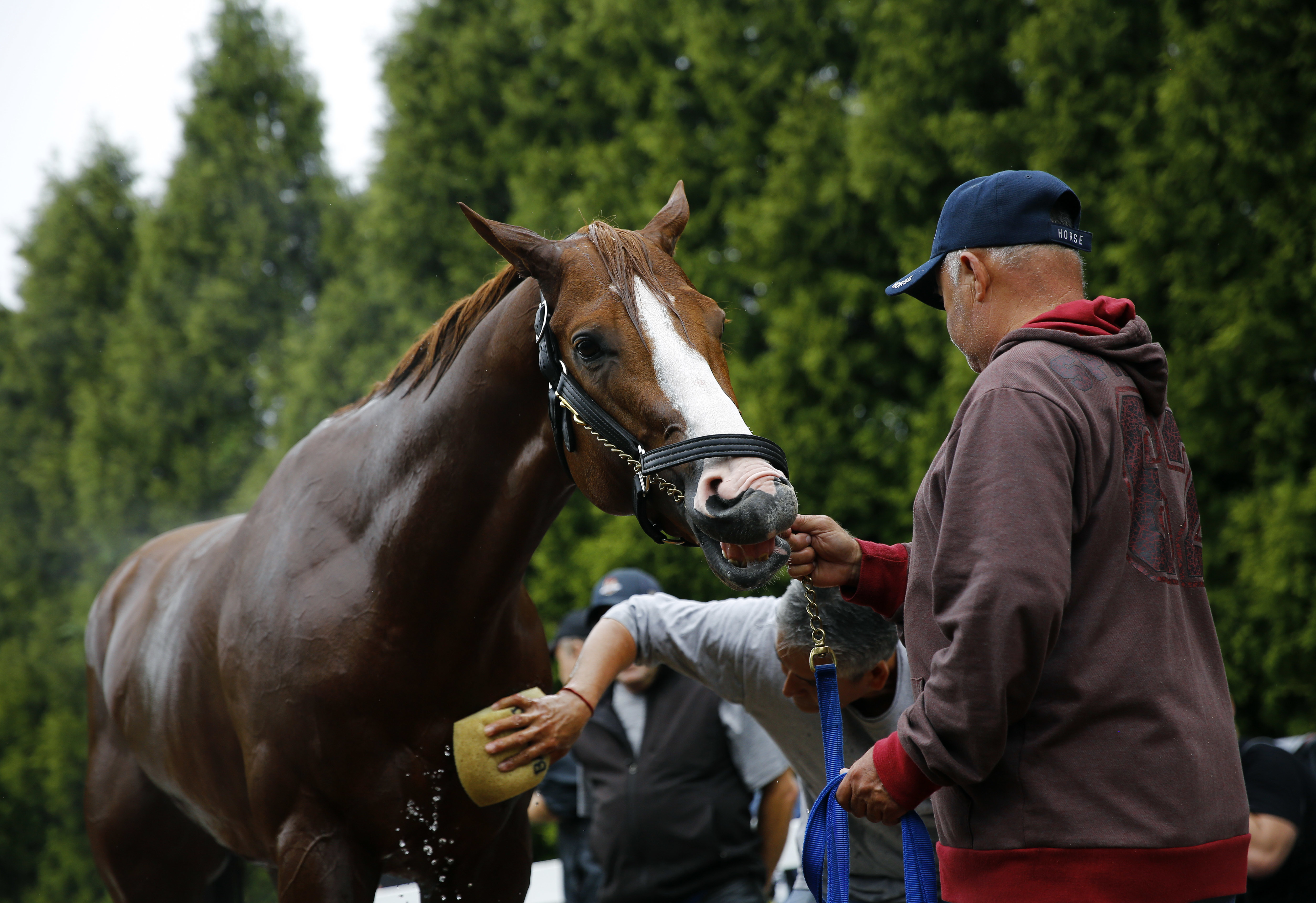 Good Magic, Quip are top challengers to Justify in Preakness