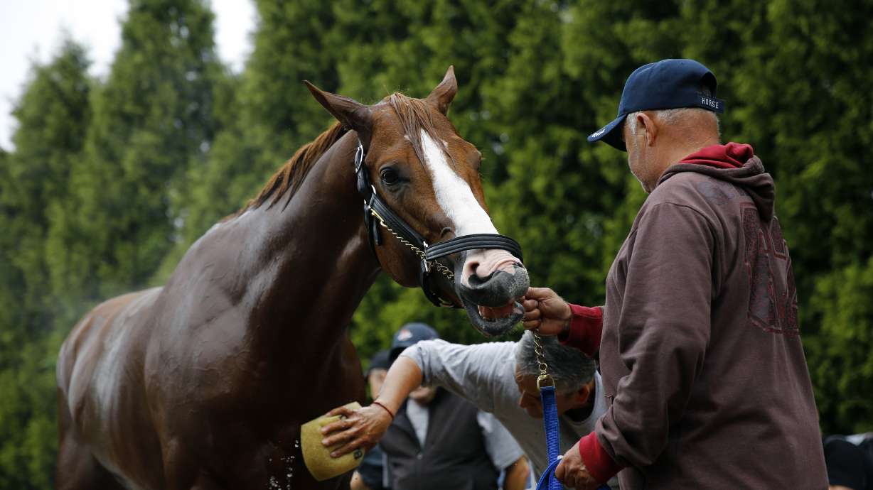 Good Magic, Quip are top challengers to Justify in Preakness