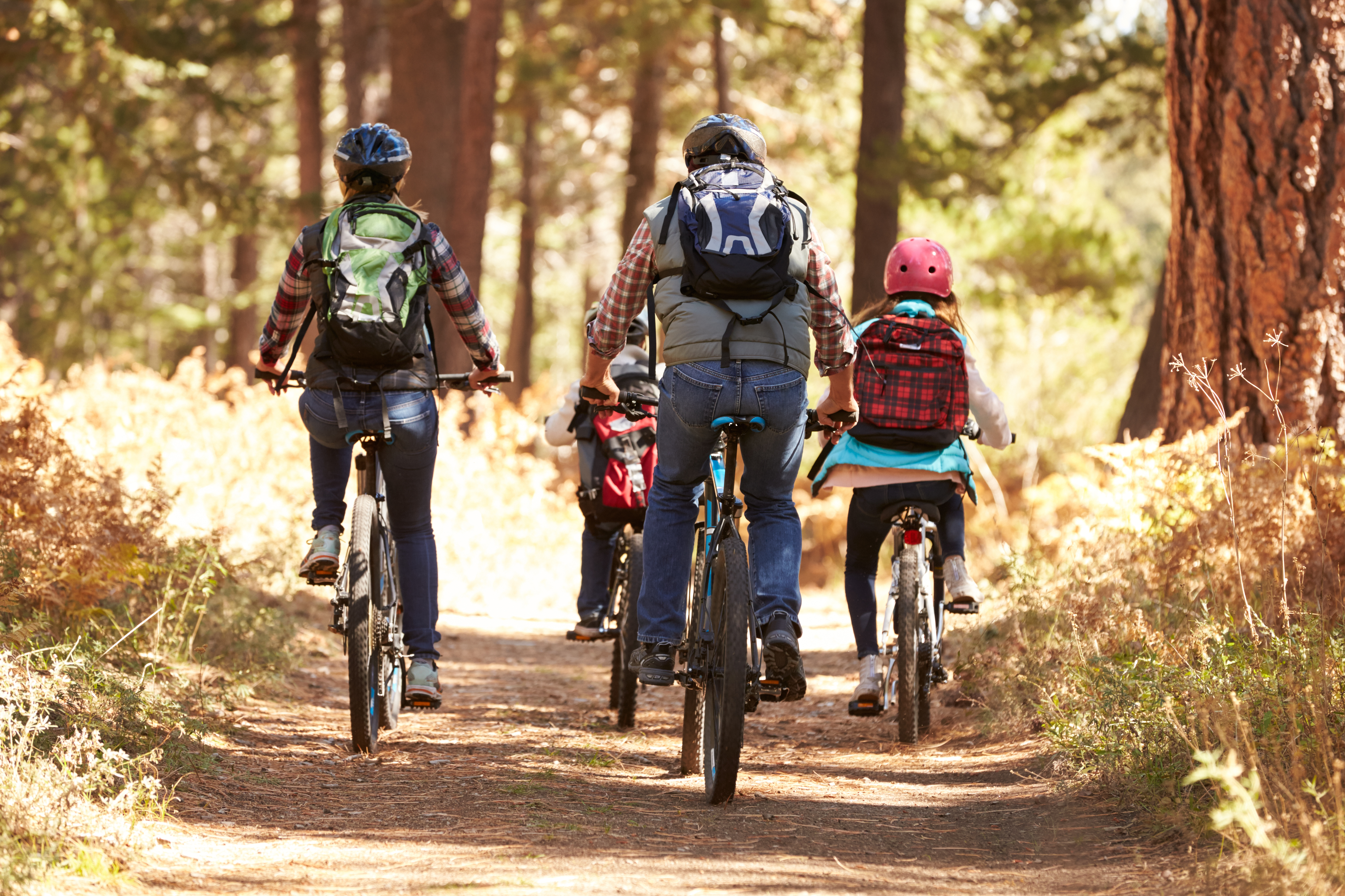 Lee introduces wilderness biking bill