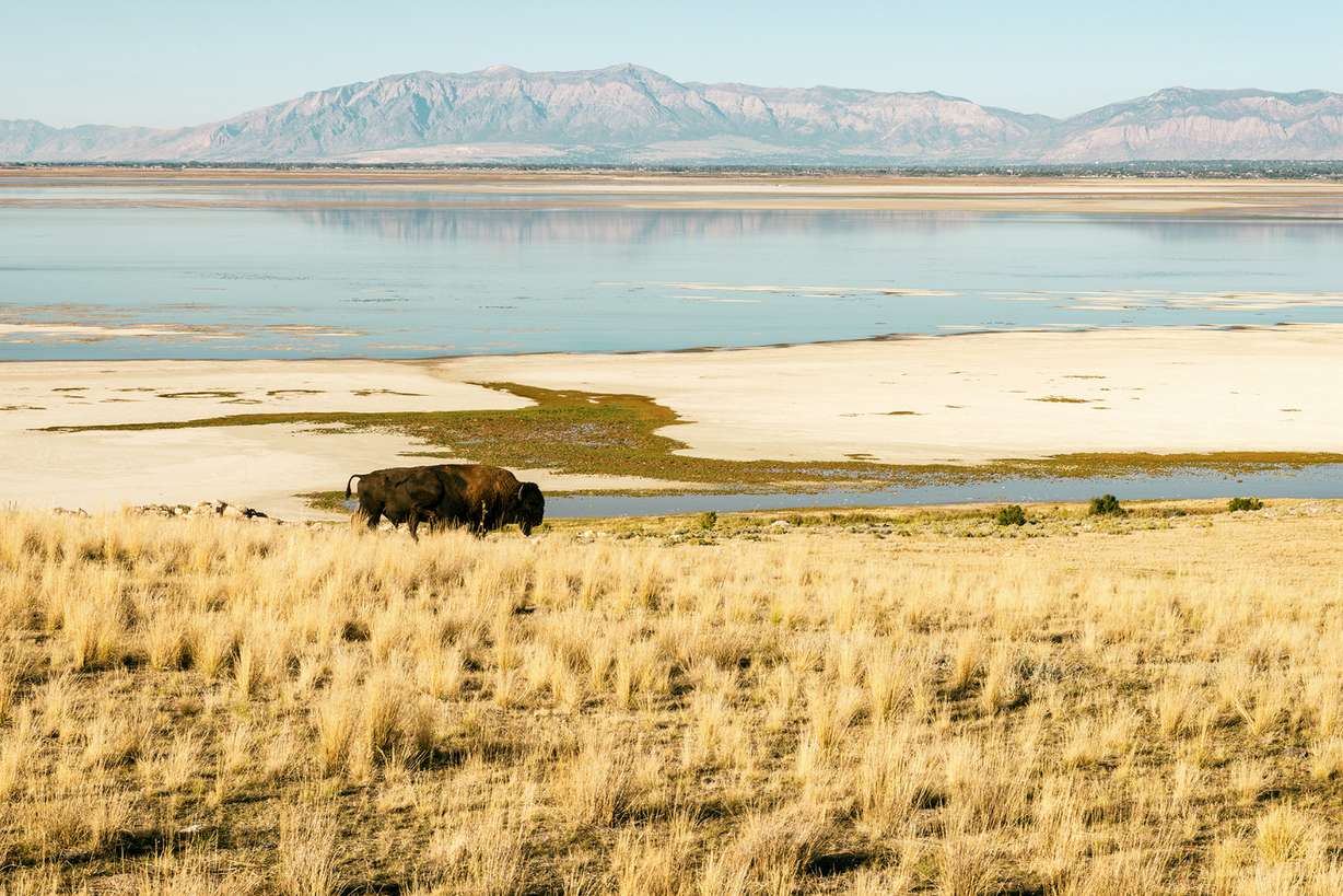 The ultimate Memorial Day weekend guide: events, destinations and more