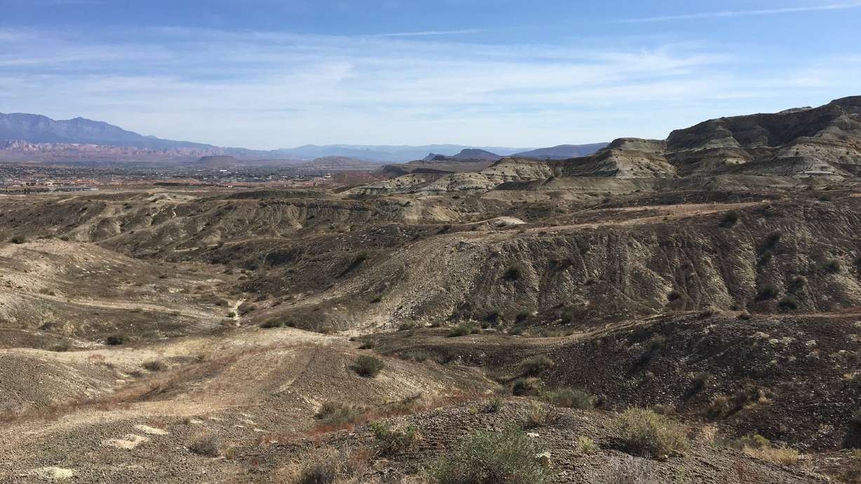White Dome Nature Preserve offers peaceful desert hikes, rare flower