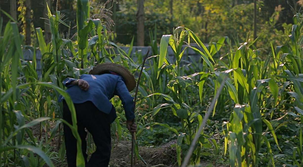 Fluent in Mandarin Chinese, Dr. John Day decided to start research in a Chinese village to understand their secret to longevity. (Photo: Dr. John Day)
