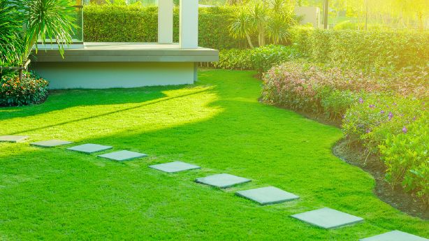 6 Tips To Make Your Lawn And Neighbors Green Ksl Com
