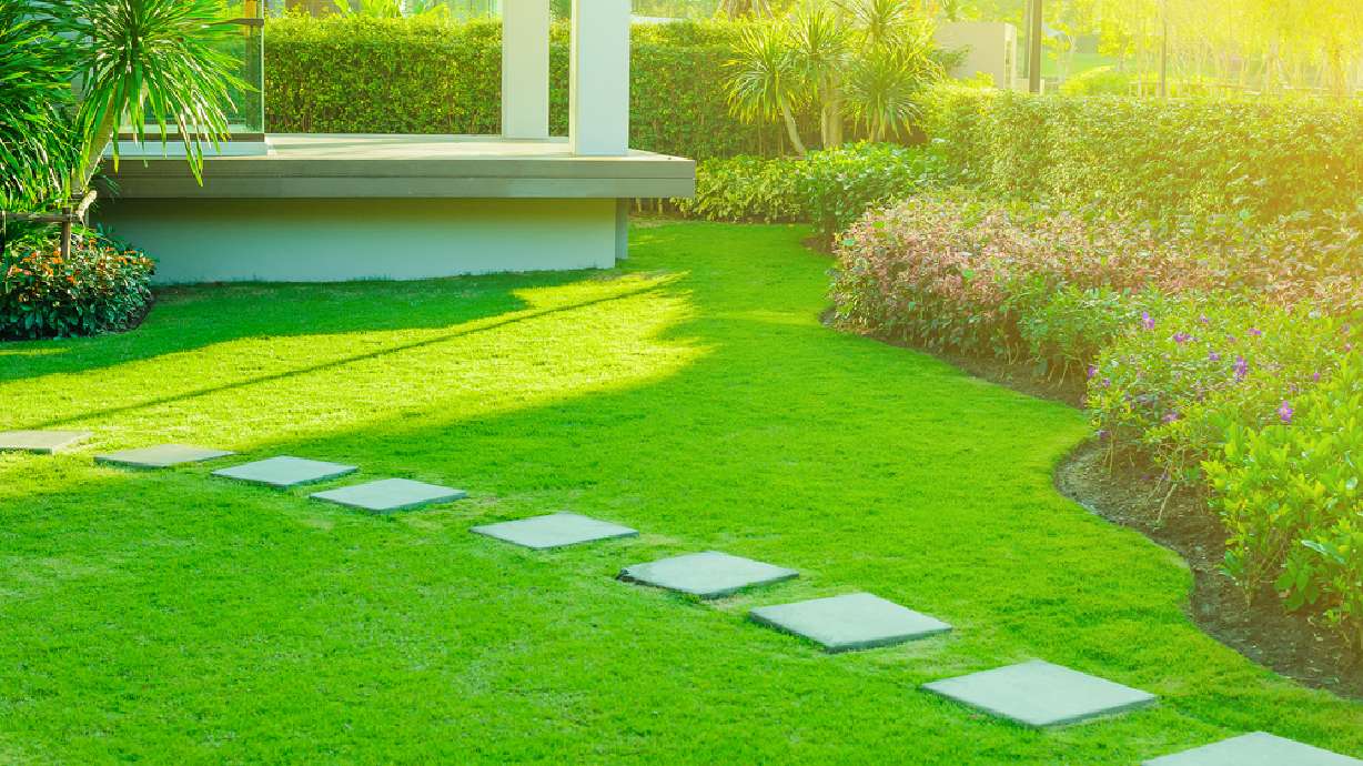 6 tips to make your lawn (and neighbors) green