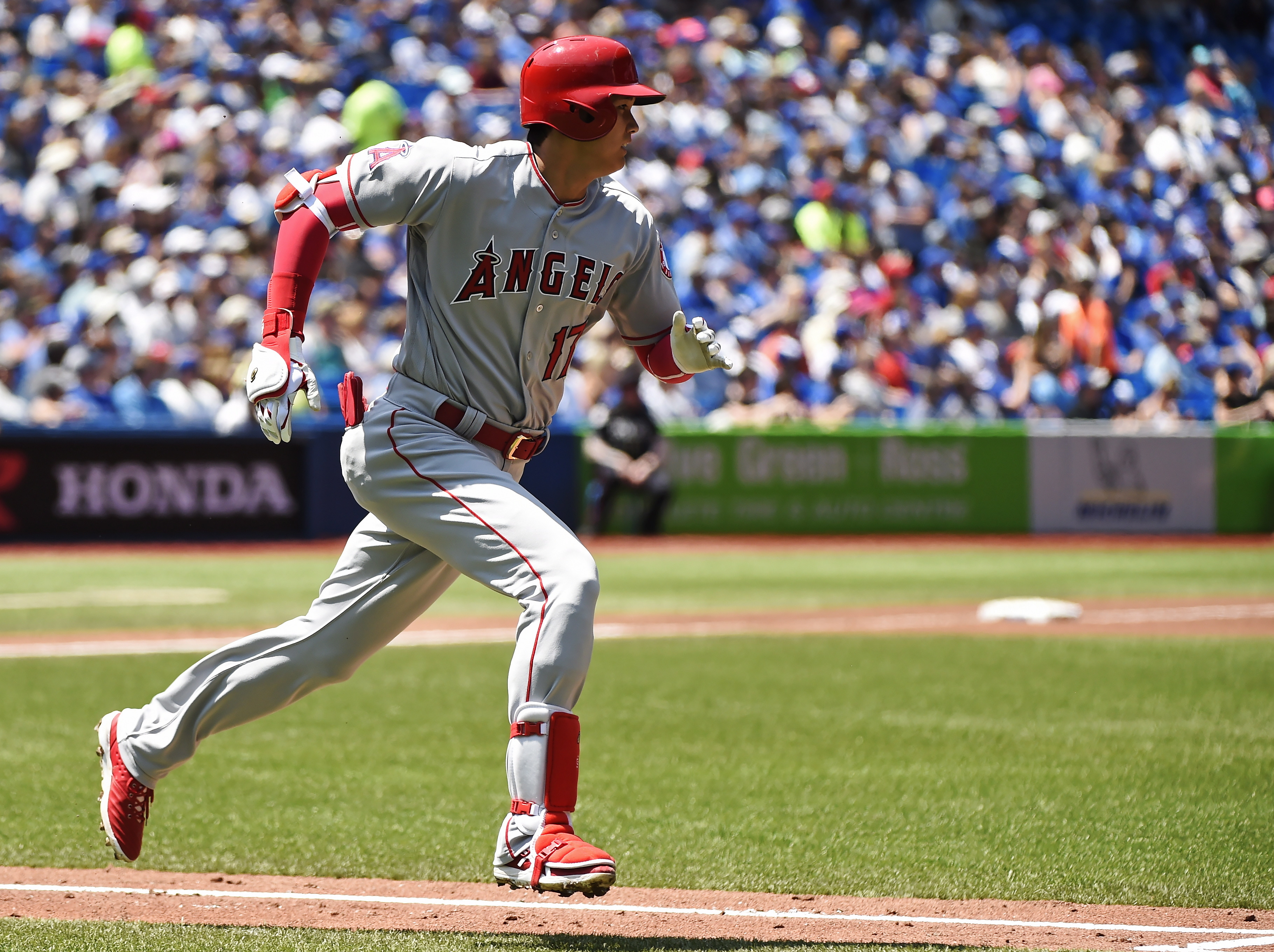 Trout and Pujols hit solo HRs, Angels beat Blue Jays 8-1