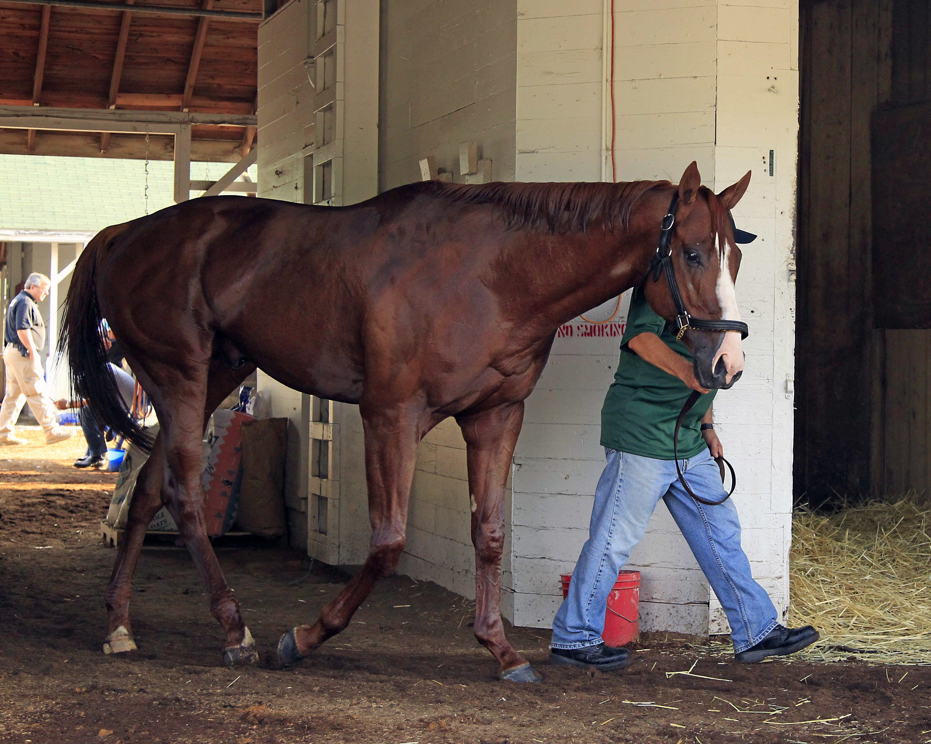 Justify gallops for Baffert in training for Belmont Stakes