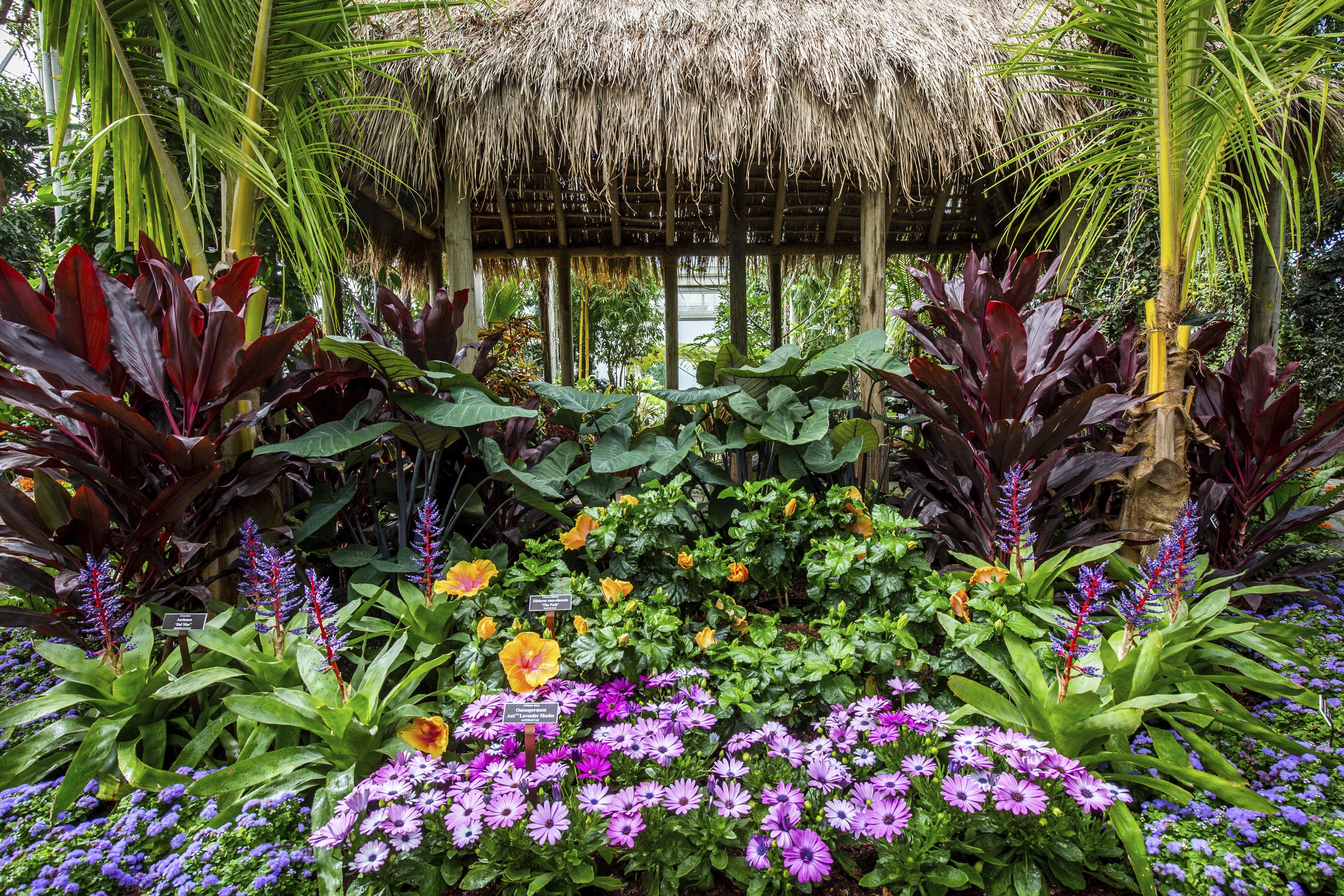 Botanical Garden show highlights O'Keeffe's Hawaii paintings