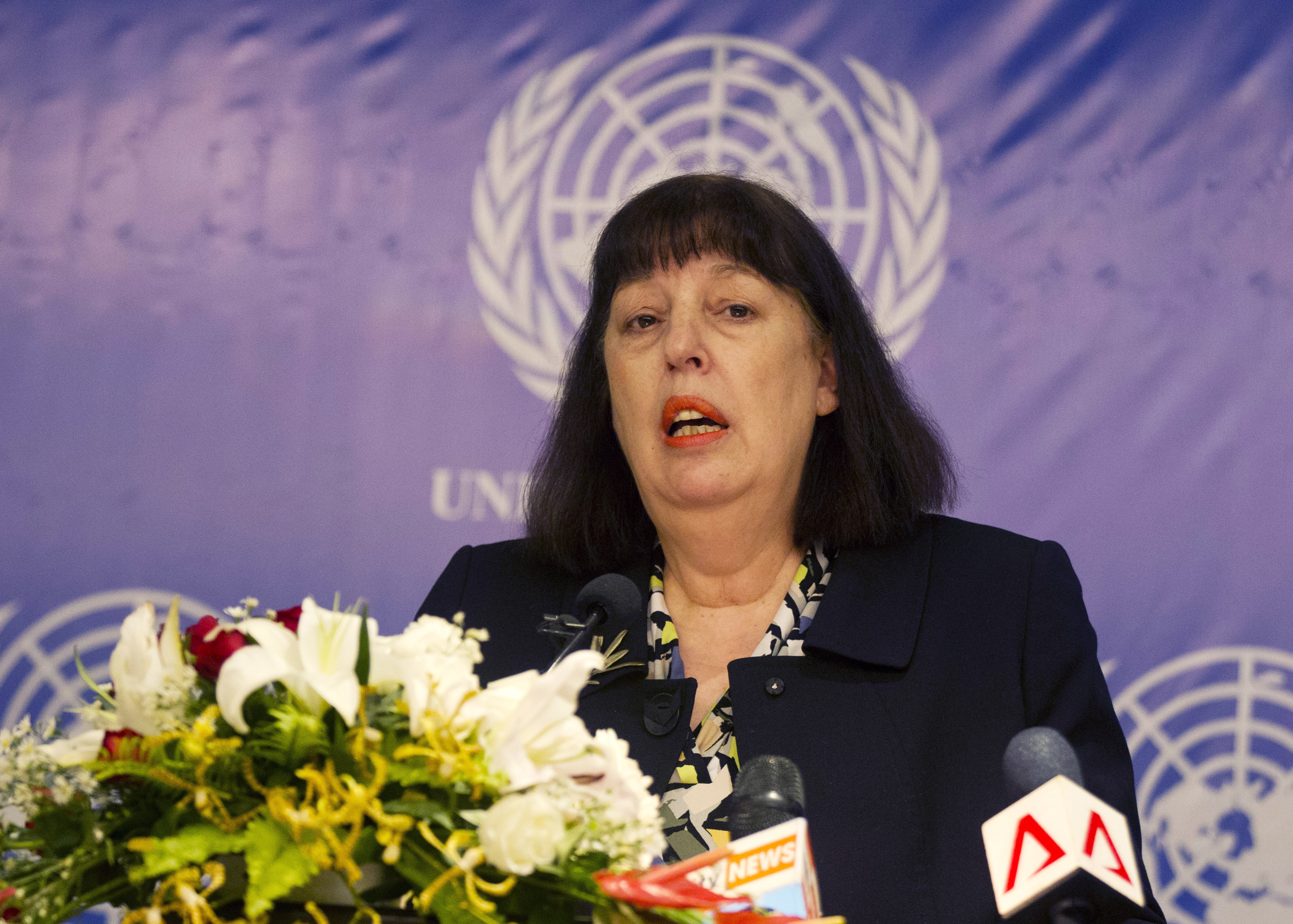 UN expert urges access to Myanmar's conflict-hit Rakhine
