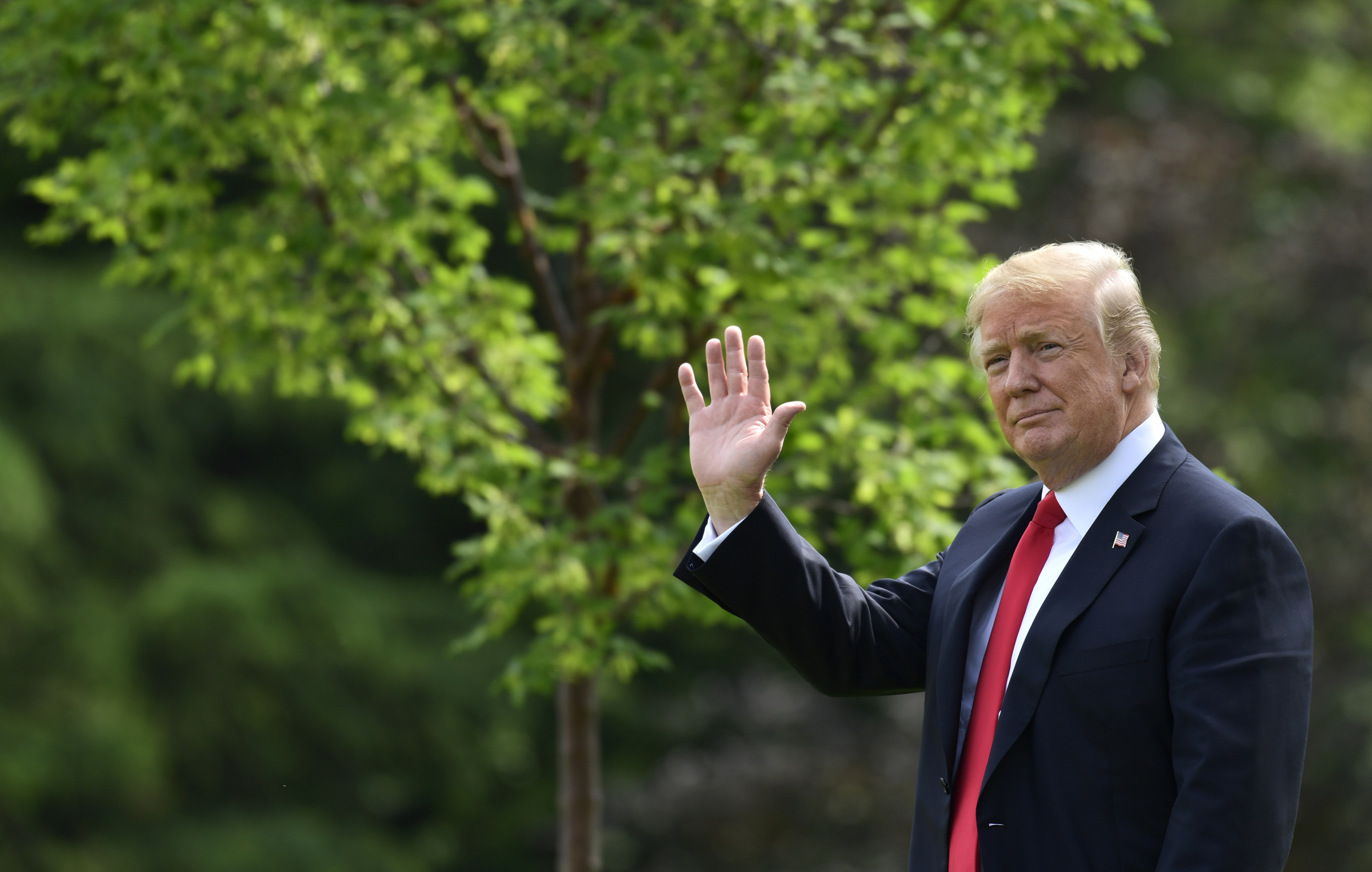 Trump to hold a sports field day at the White House