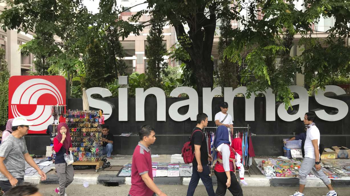 Forests watchdog sends ultimatum to Indonesian paper giant