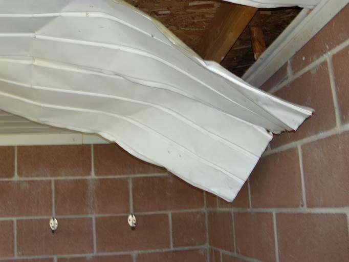 A photo of the baseball dugout area where the nest was found. (Photo courtesy Alan Rawley)
