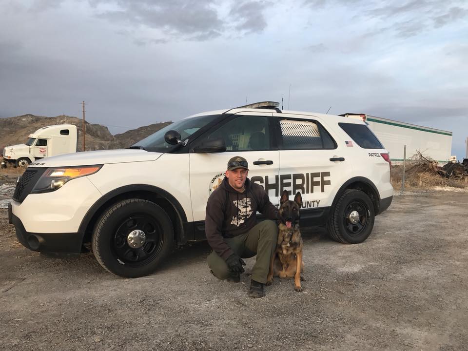 K-9 Aries is pictured in a photo posted on the Uintah County Sheriff's Office Facebook account. (Photo: Uintah County Sheriff's Office)