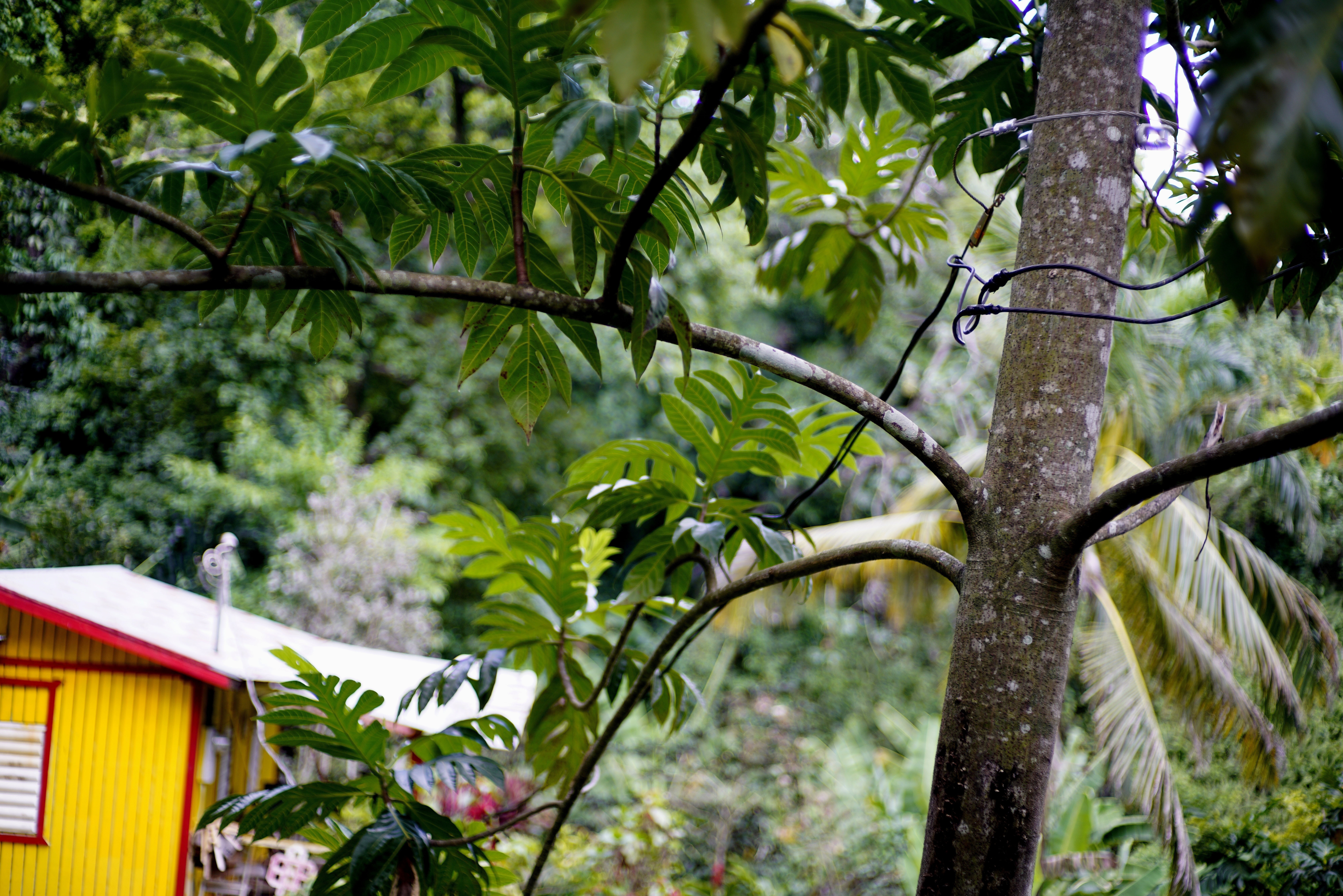 Puerto Rico grid 'teetering' despite $3.8 billion repair job