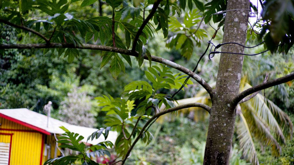 Puerto Rico grid 'teetering' despite $3.8 billion repair job