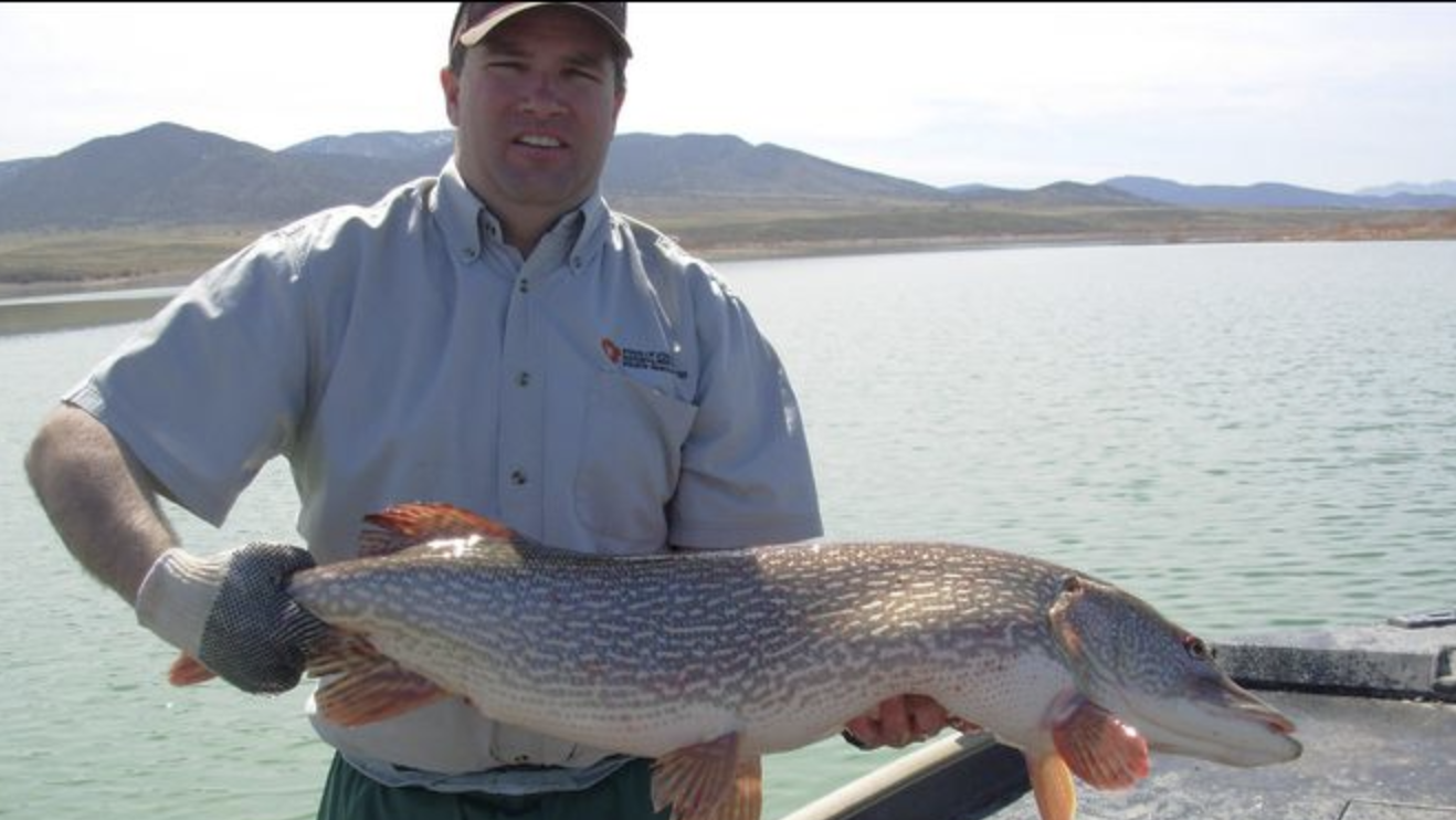 Drought, irrigation use create challenge for managing Yuba Reservoir fisheries